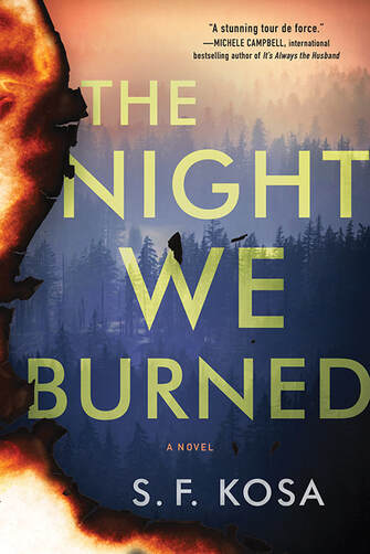 The Night We Burned Cover Picture