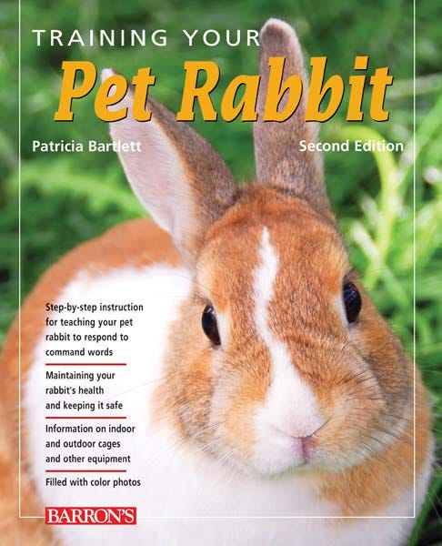 How To Train My Rabbit Training Your Pet Rabbit 9781438000343