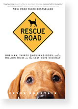 Cover image of Rescue Road by Peter Zheutlin